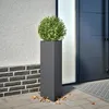 Image de Vidaxl JardiniÃ¨res 2 Pcs Anthracite Triangulaire 30x26x75 Cm Acier