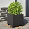 Image de Vidaxl JardiniÃ¨re Noir 30x30x30 Cm Acier