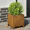 Image de Vidaxl JardiniÃ¨res 2 Pcs 30x30x30 Cm Acier Corten