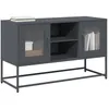 Image de vidaXL Meuble TV anthracite 100,5x39x60,5 cm acier