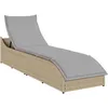 Image de Vidaxl Chaise Longue Pliante Coussin Et Rangement Beige RÃ©sine TressÃ©e