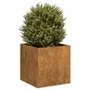 Image de Vidaxl JardiniÃ¨re RouillÃ© 40x40x40 Cm Acier Inoxydable