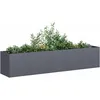 Image de Vidaxl JardiniÃ¨re Anthracite 200x40x40 Cm Acier LaminÃ© Ã Froid