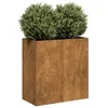 Image de Vidaxl JardiniÃ¨re RouillÃ© 80x40x80 Cm Acier Inoxydable