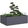 Image de Vidaxl JardiniÃ¨re Anthracite 120x80x40 Cm Acier