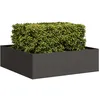Image de Vidaxl JardiniÃ¨re Noir 100x100x30 Cm Acier