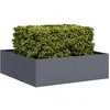 Image de Vidaxl JardiniÃ¨re Anthracite 100x100x30 Cm Acier