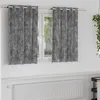 Image de Vidaxl Rideau Avec Des Rideaux 2 Pcs Gris 140 X 140 Cm Velours
