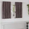 Image de Vidaxl Rideau Avec Des Rideaux 2 Pcs Marron 140 X 140 Cm Velours