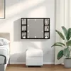 Image de Meuble Miroir LED vidaXL - ChÃªne Noir - 76x15x55 cm - FabriquÃ© en Bois d'IngÃ©nierie