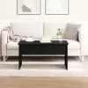 Image de Table basse en chÃªne noir vidaXL - 80 x 50.5 x 41.5 cm