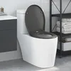 Image de Abattant de toilette Ã  ouverture rapide avec fermeture douce Duroplast Anthracite