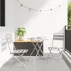 Image de Vidaxl Chaises De Jardin Pliantes 2 Pcs Beiges 42x52x82 Cm Acier Enduit De Poudre