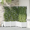 Image de Bac de jardin vidaXL avec treillis 5 pcs Blanc 120x120x143 cm
