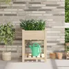 Image de JardiniÃ¨re Vidaxl Avec ÃtagÃ¨re 60x60x76 Cm En Bois Massif De Pin