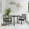 Image de Chaises De Jardin Vidaxl 2 Pcs Avec Coussins Noir Poly Rattan