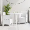 Image de Chaise De Jardin Vidaxl Ensemble De 2 Blanc Style En Rotin Plastique