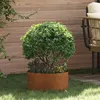 Image de vidaXL Pot en acier corten Acier corten Grand Durable Rond