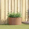 Image de vidaXL Lit de jardin surÃ©levÃ© marron avec finition bois 80x80x44 cm en acier
