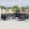 Image de Vidaxl Ensemble De CanapÃ© De Jardin 14 Pcs Anthracite Acier