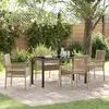 Image de Vidaxl Ensemble De Salle Ã Manger De Jardin De 5 PiÃ¨ces Avec Coussins En Poly Rattan Beige