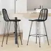 Image de Vidaxl Chaise De Bar 2 Pcs Noir 44,5 X 53 X 111 Cm Rotin Et MÃ©tal