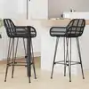 Image de Vidaxl Chaise De Bar 2 Pcs Noir 55 X 52 X 92 Cm Rotin Et MÃ©tal
