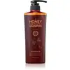 Image de DAENG GI MEO RI Shampooing régénérant Honey Therapy Professional Plus pour cheveux fragiles et abîmés 500 ml