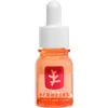 Image de ERBORIAN - Skin Therapy - Sérum Nuit Multi-perfecteur - 10ml