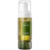Image de Démaquillants & Nettoyants Neogen  Green Tea Real Fresh Foam P32920854