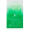 Image de AXIS-Y Mugwort Green Vital Energy Complex masque en tissu hydratant et apaisant 27 ml
