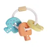 Image de Plan Toys Plan Toys Hochet Cles