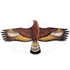 Image de Cerf-volant aigle royal
