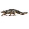 Image de Wild life - alligator