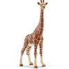 Image de Figurine girafe femelle