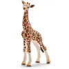 Image de Wild life - bébé giraffe