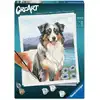 Image de Creart 24x30 cm - berger australien