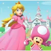 Image de Puzzle super mario 3x49 pcs
