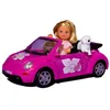 Image de Evis beetle