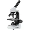 Image de Microscope 40x-2000x