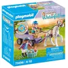 Image de Enfants avec calèche et poney
