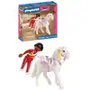 Image de Cheval de concours de voltige