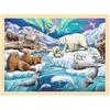 Image de Puzzle nuit polaire