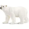 Image de Ours polaire