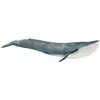 Image de Baleine bleue