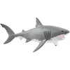 Image de Wild life requin blanc