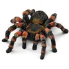 Image de Figurine - mygale