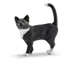 Image de Chat debout