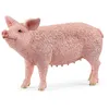 Image de Farm world cochon