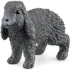 Image de Lapin bélier